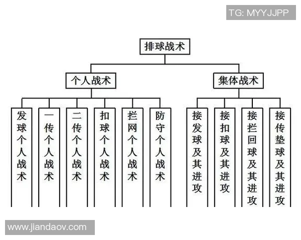 北京排球队控制打法深度分析与战术解读 北京排球队控制打法深度分析与战术解读