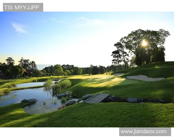 李芳篮球生涯回顾与展望:从球场到人生的精彩对话 李芳篮球生涯回顾与展望:从球场到人生的精彩对话