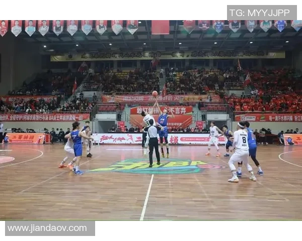 杭州排球队实力排名第九展现出强劲竞争力与潜力的未来发展