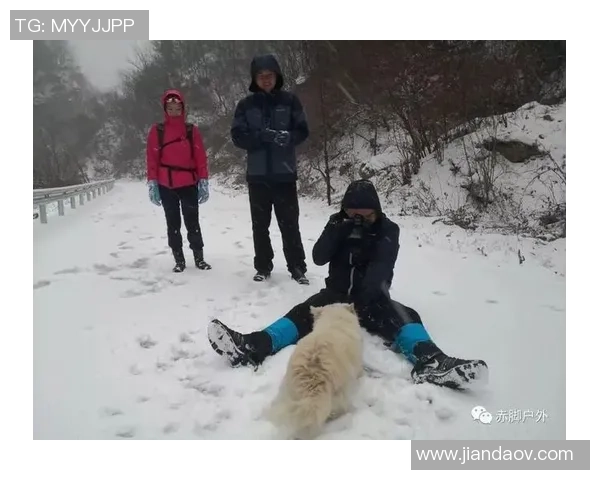 武汉极限运动队的控制与发展现状分析及未来趋势探讨 武汉极限运动队的控制与发展现状分析及未来趋势探讨