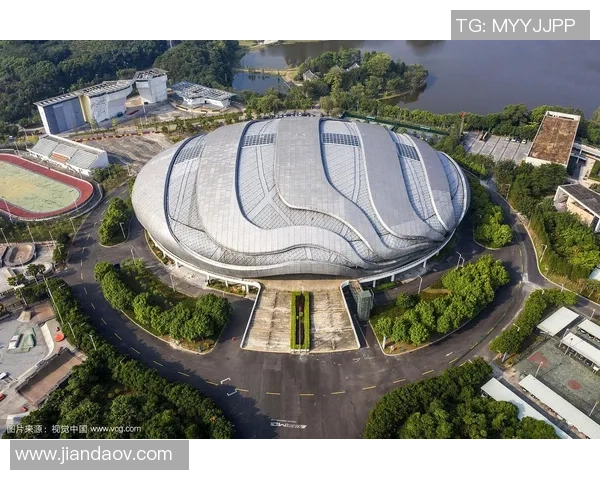 赛后分析：广州极限运动队与杭州极限运动队战术对决的深度解析